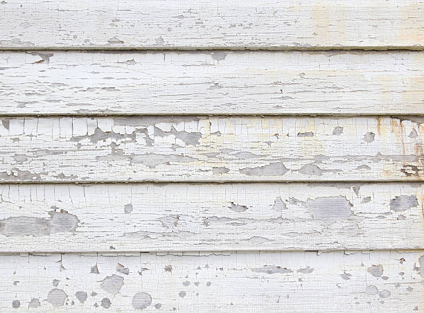 Affordable Siding Repair and Maintenance Services in Williston Highlands, FL